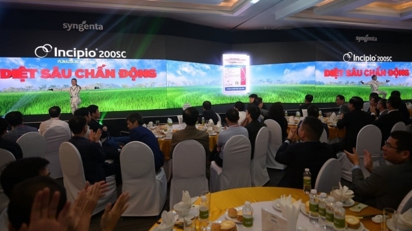 Overview of the launch of Syngenta Vietnam's Incipio 200SC pesticide